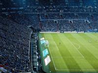 FB体育娱乐-当掀翻成为序曲，委内瑞拉启示录与伊布的欧冠独舞