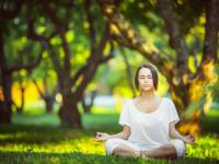 FB体育下载-东契奇封神之夜，马刺防线尽碎，狼群难挡独行侠之王