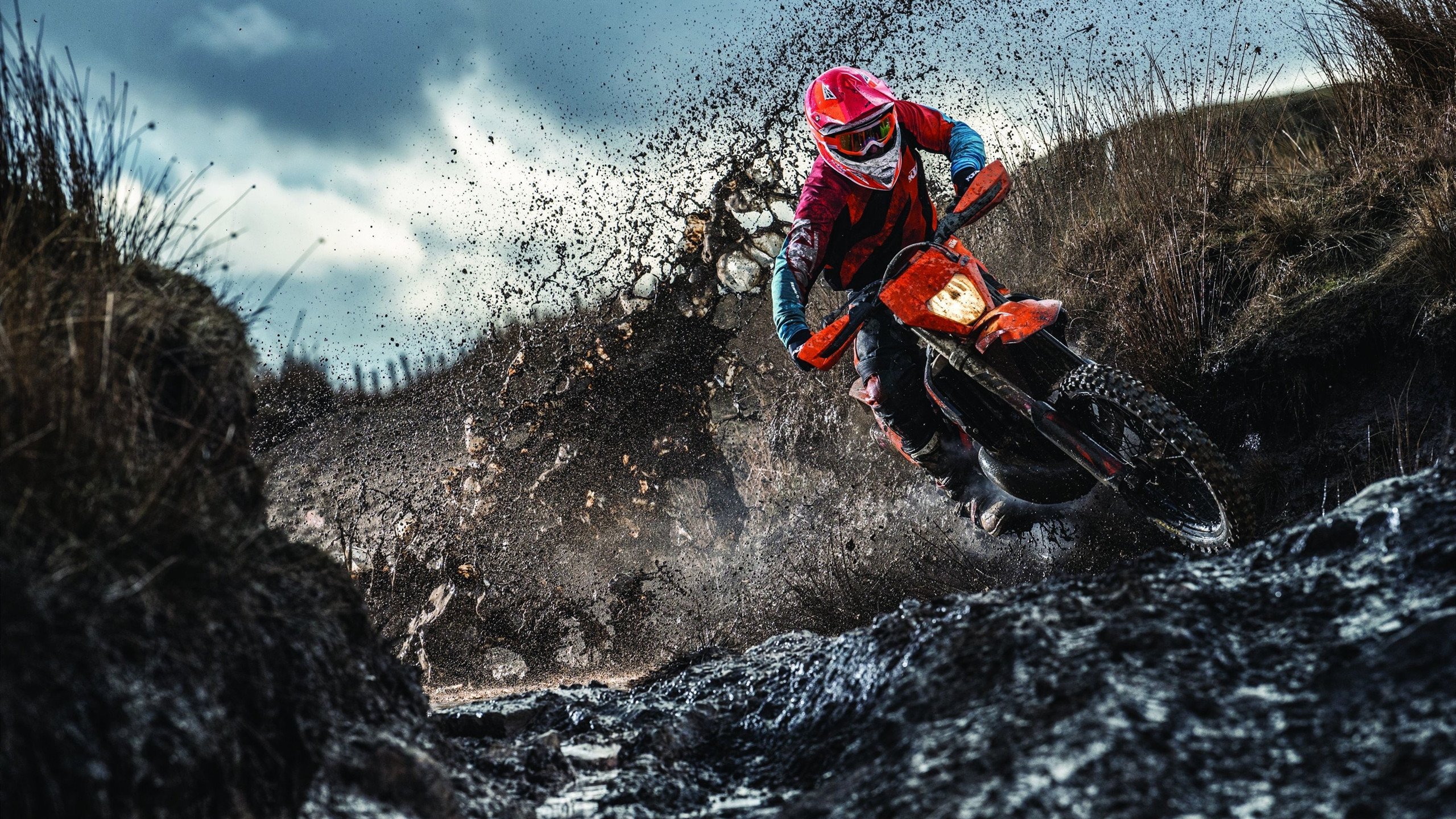 当维斯塔潘的赛车披上伊布战袍,英格兰末节艺术与F1新赛季的跨界狂想