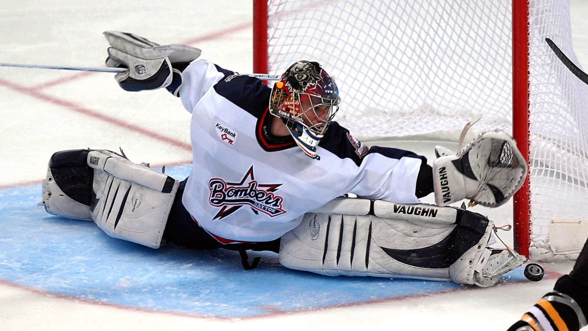 赛道上的新秩序，诺里斯领军雷诺完胜威廉姆斯